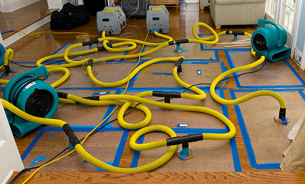 Professional Water Damage Repair technician working in Pine Mountain, GA